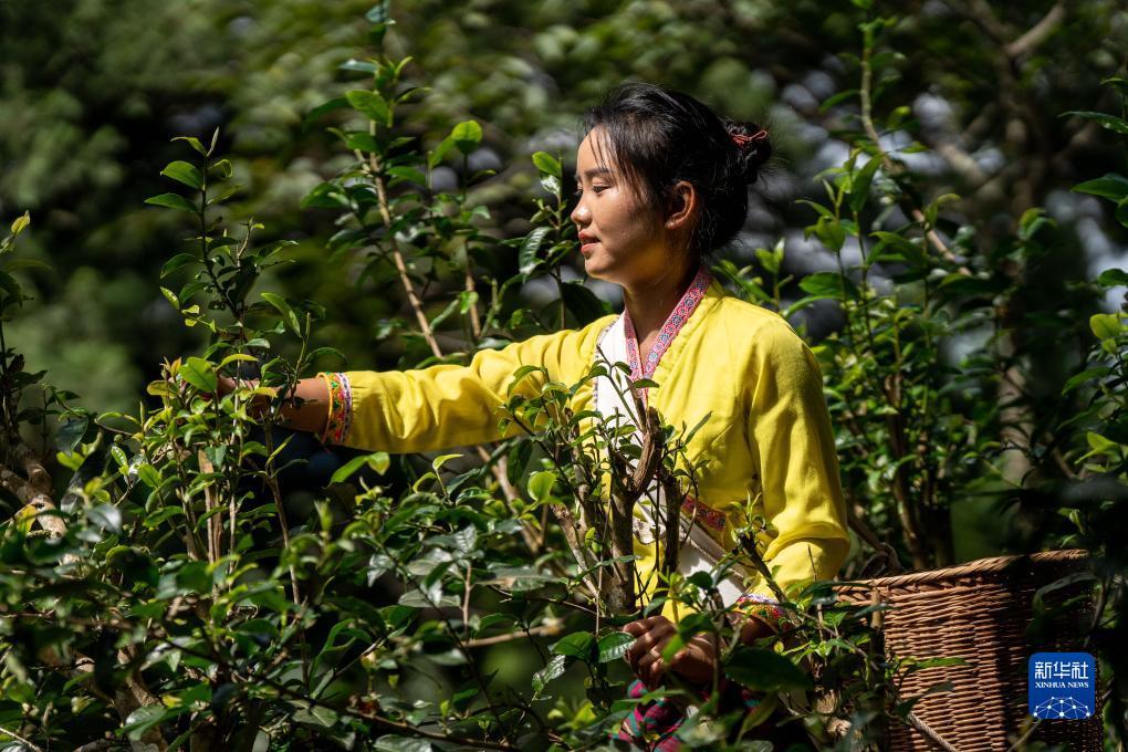 满贯游戏官网